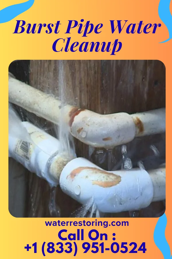 Burst Pipe Water Cleanup in Germantown, KY