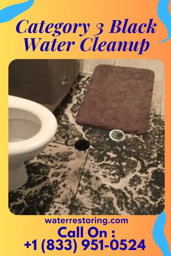 Category 3 Black Water Cleanup in Germantown, KY