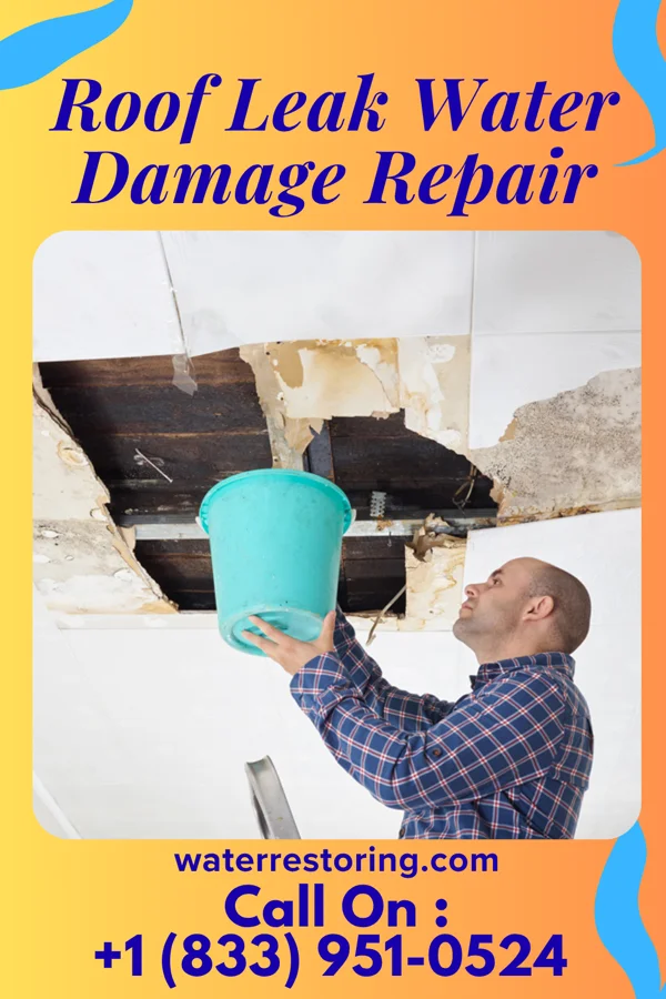 Roof Leak Water Damage Repair in Germantown, KY