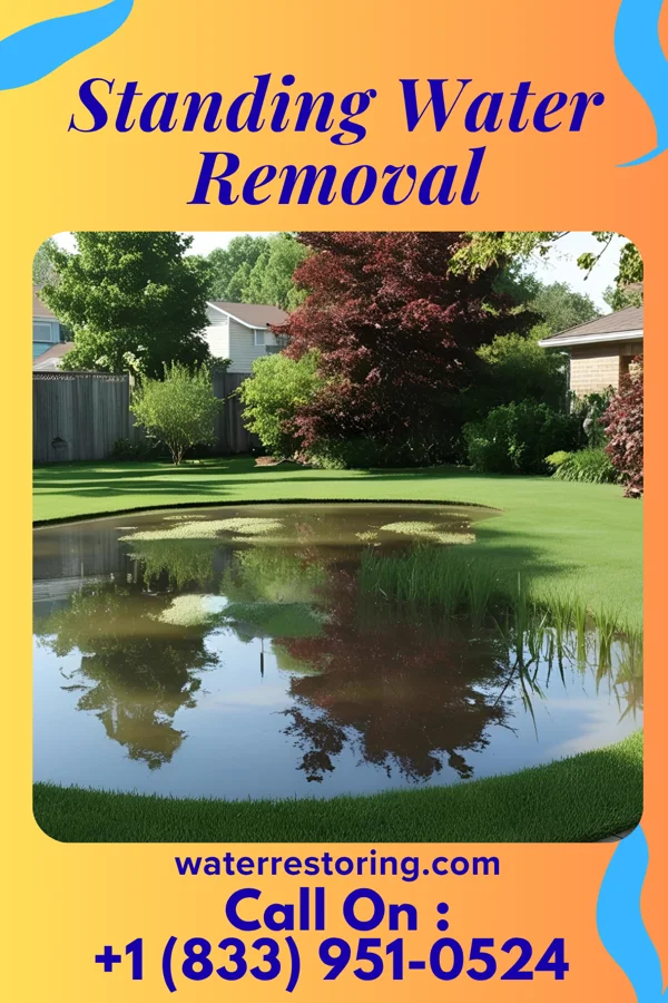 Standing Water Removal in Germantown, KY